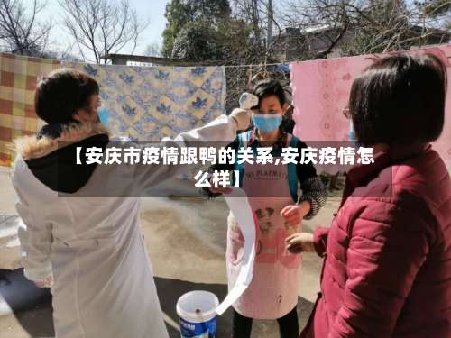 【安庆市疫情跟鸭的关系,安庆疫情怎么样】
