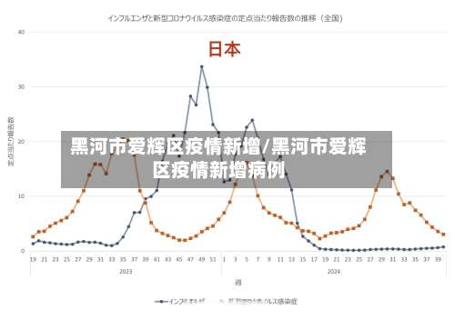 黑河市爱辉区疫情新增/黑河市爱辉区疫情新增病例