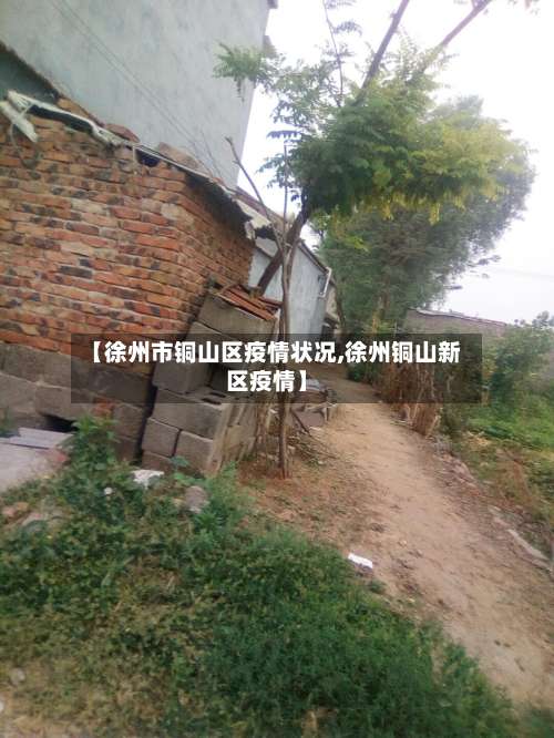 【徐州市铜山区疫情状况,徐州铜山新区疫情】-第2张图片