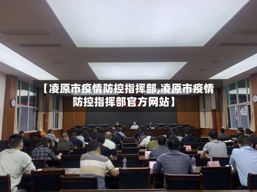 【凌原市疫情防控指挥部,凌原市疫情防控指挥部官方网站】