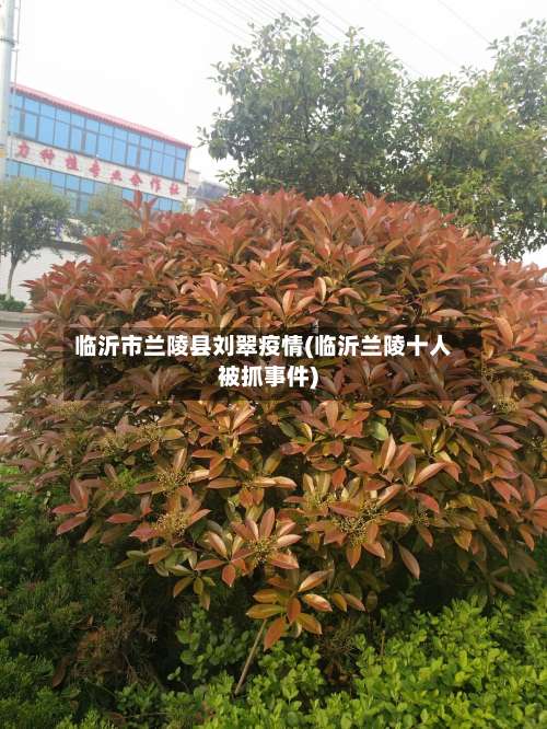 临沂市兰陵县刘翠疫情(临沂兰陵十人被抓事件)