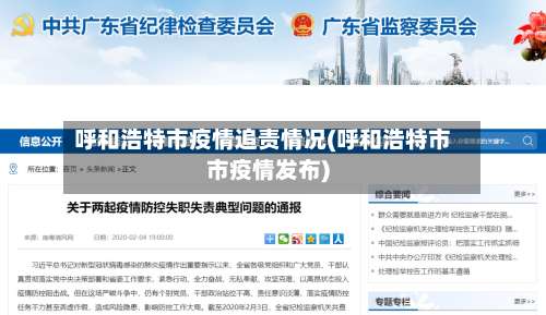 呼和浩特市疫情追责情况(呼和浩特市市疫情发布)