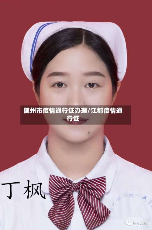 随州市疫情通行证办理/江都疫情通行证-第2张图片