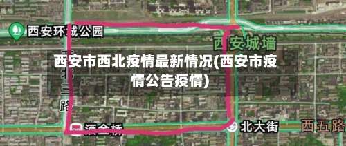 西安市西北疫情最新情况(西安市疫情公告疫情)-第3张图片