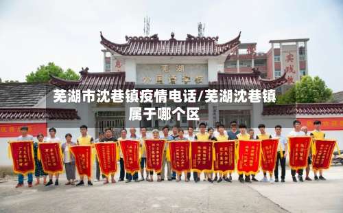 芜湖市沈巷镇疫情电话/芜湖沈巷镇属于哪个区
