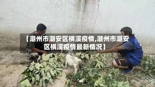 【潮州市潮安区横溪疫情,潮州市潮安区横溪疫情最新情况】