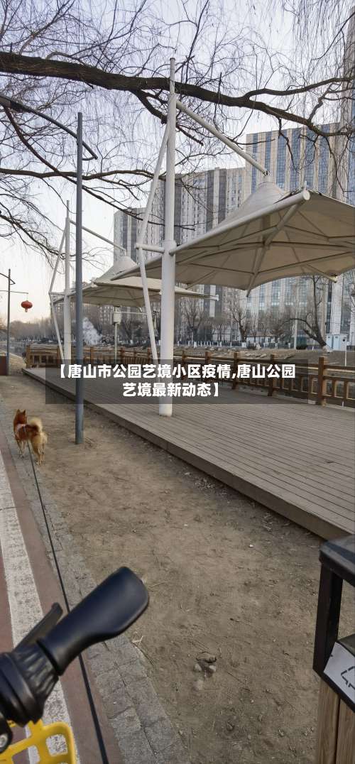 【唐山市公园艺境小区疫情,唐山公园艺境最新动态】-第3张图片