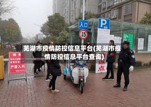芜湖市疫情防控信息平台(芜湖市疫情防控信息平台查询)