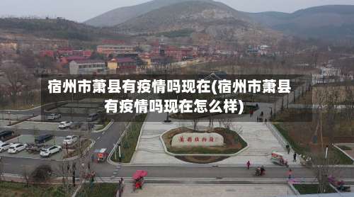 宿州市萧县有疫情吗现在(宿州市萧县有疫情吗现在怎么样)