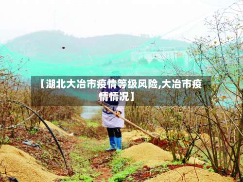 【湖北大冶市疫情等级风险,大冶市疫情情况】