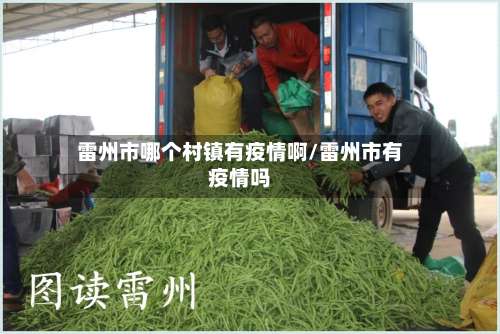 雷州市哪个村镇有疫情啊/雷州市有疫情吗