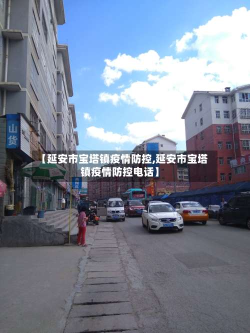 【延安市宝塔镇疫情防控,延安市宝塔镇疫情防控电话】