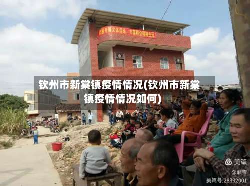 钦州市新棠镇疫情情况(钦州市新棠镇疫情情况如何)