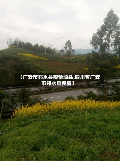 【广安市邻水县疫情源头,四川省广安市邻水县疫情】