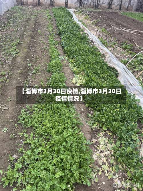 【淄博市3月30日疫情,淄博市3月30日疫情情况】