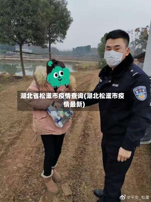 湖北省松滋市疫情查询(湖北松滋市疫情最新)