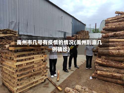 禹州市几号有疫情的情况(禹州到底几例确诊)