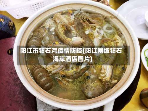 阳江市钻石湾疫情防控(阳江闸坡钻石海岸酒店图片)