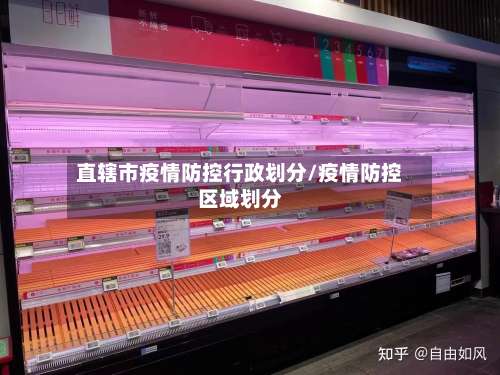 直辖市疫情防控行政划分/疫情防控区域划分-第2张图片