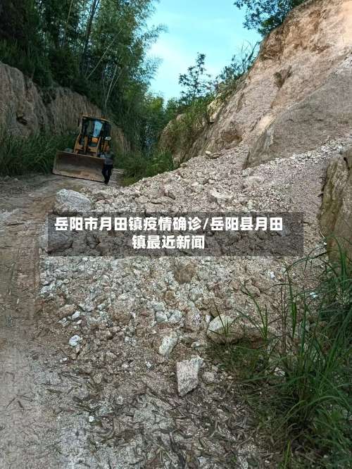 岳阳市月田镇疫情确诊/岳阳县月田镇最近新闻