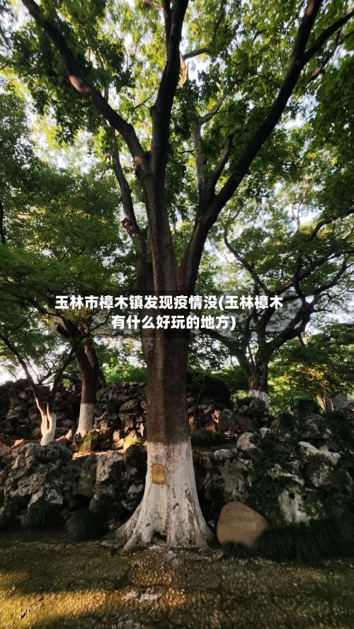 玉林市樟木镇发现疫情没(玉林樟木有什么好玩的地方)