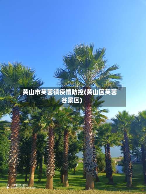 黄山市芙蓉镇疫情防控(黄山区芙蓉谷景区)