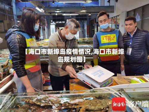 【海口市新埠岛疫情情况,海口市新埠岛规划图】