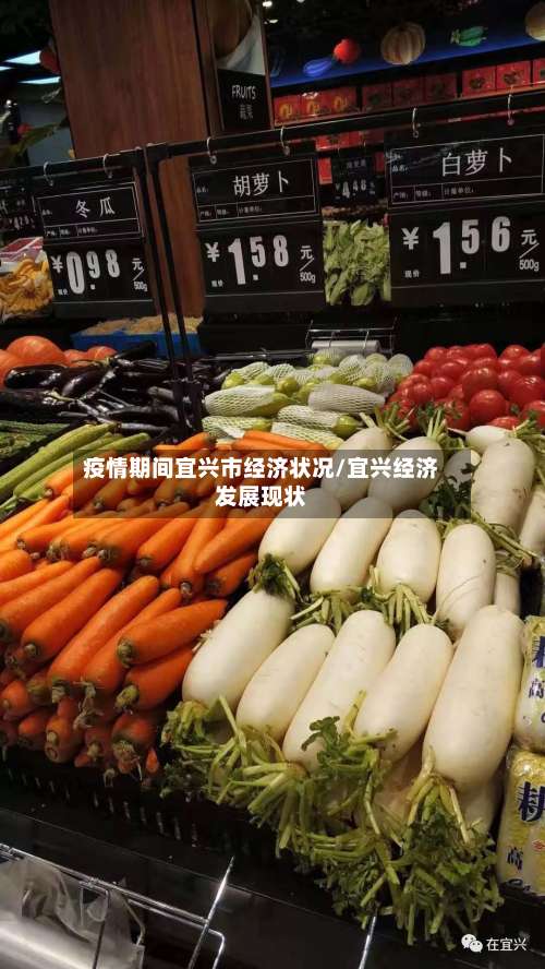 疫情期间宜兴市经济状况/宜兴经济发展现状-第2张图片