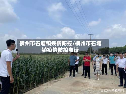 横州市石塘镇疫情防控/横州市石塘镇疫情防控电话
