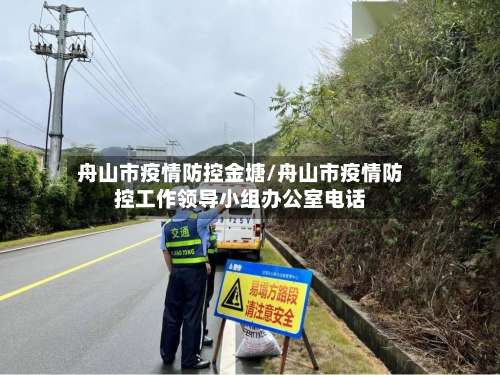 舟山市疫情防控金塘/舟山市疫情防控工作领导小组办公室电话