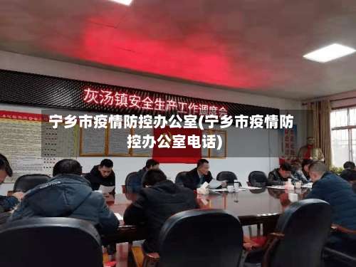 宁乡市疫情防控办公室(宁乡市疫情防控办公室电话)