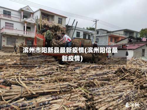 滨州市阳新县最新疫情(滨州阳信最新疫情)