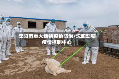 沈阳市重大动物疫情防治/沈阳动物疫情控制中心