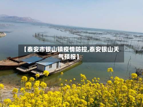 【泰安市银山镇疫情防控,泰安银山天气预报】