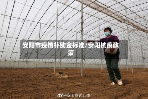 安阳市疫情补助金标准/安阳抗疫政策-第2张图片