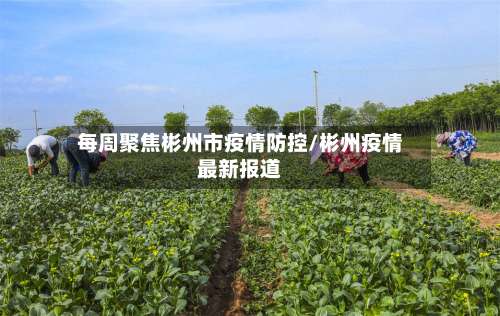 每周聚焦彬州市疫情防控/彬州疫情最新报道-第2张图片