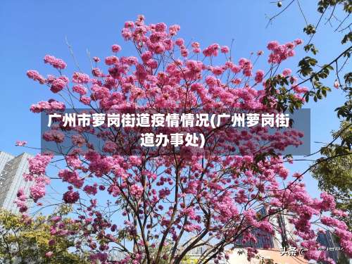 广州市萝岗街道疫情情况(广州萝岗街道办事处)