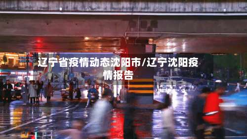辽宁省疫情动态沈阳市/辽宁沈阳疫情报告