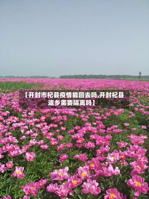 【开封市杞县疫情能回去吗,开封杞县返乡需要隔离吗】-第2张图片