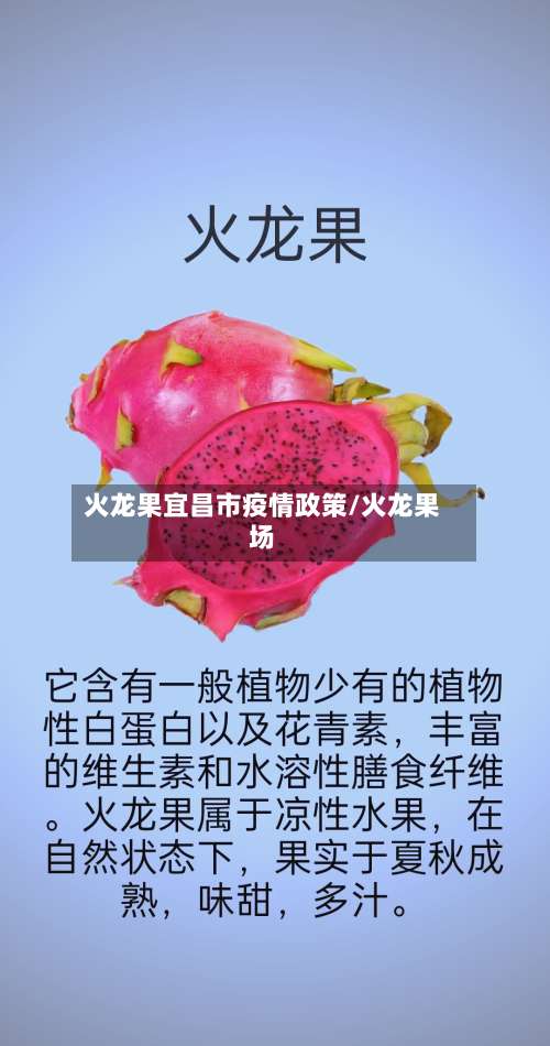 火龙果宜昌市疫情政策/火龙果场