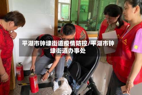 平湖市钟埭街道疫情防控/平湖市钟埭街道办事处