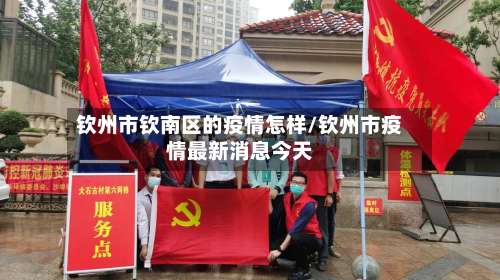 钦州市钦南区的疫情怎样/钦州市疫情最新消息今天-第3张图片