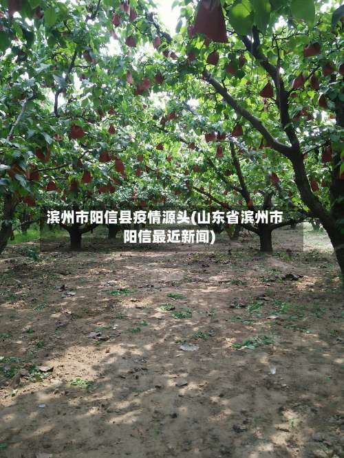 滨州市阳信县疫情源头(山东省滨州市阳信最近新闻)