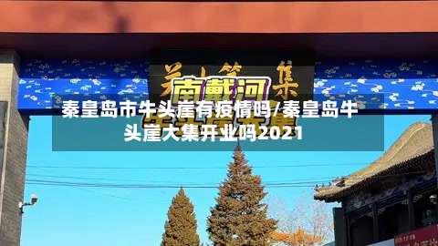 秦皇岛市牛头崖有疫情吗/秦皇岛牛头崖大集开业吗2021