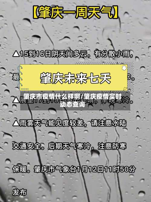 肇庆市疫情什么样啊/肇庆疫情实时动态查询