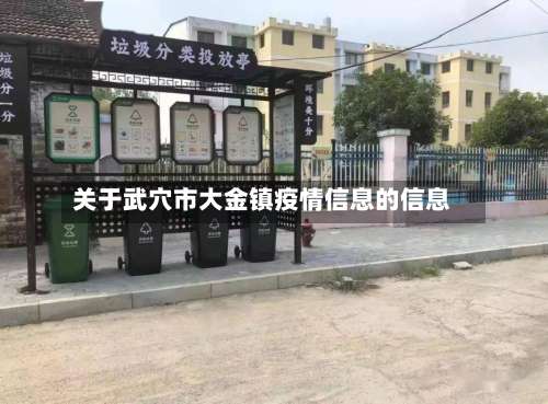 关于武穴市大金镇疫情信息的信息