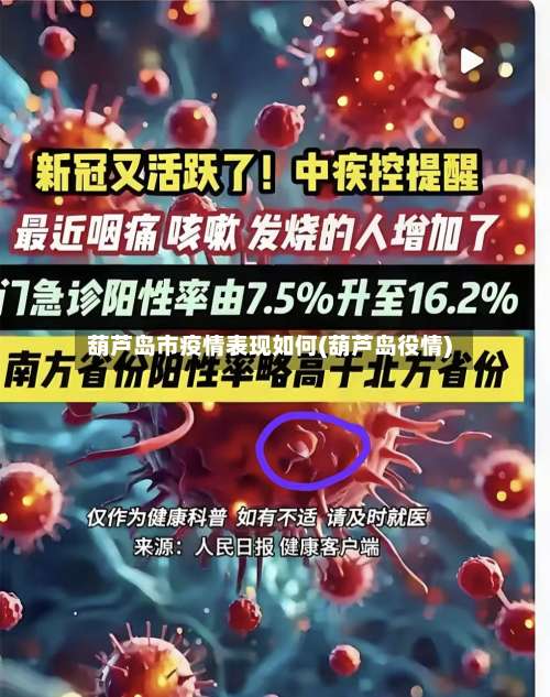 葫芦岛市疫情表现如何(葫芦岛役情)-第3张图片