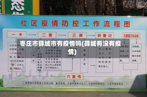 枣庄市薛城市有疫情吗(薛城有没有疫情)