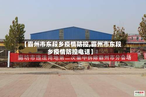 【霸州市东段乡疫情防控,霸州市东段乡疫情防控电话】