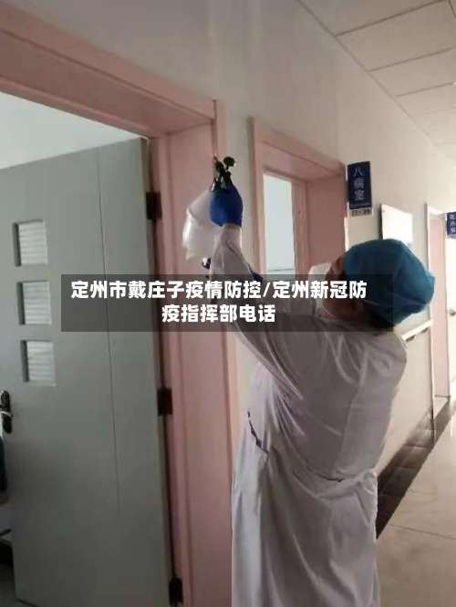 定州市戴庄子疫情防控/定州新冠防疫指挥部电话